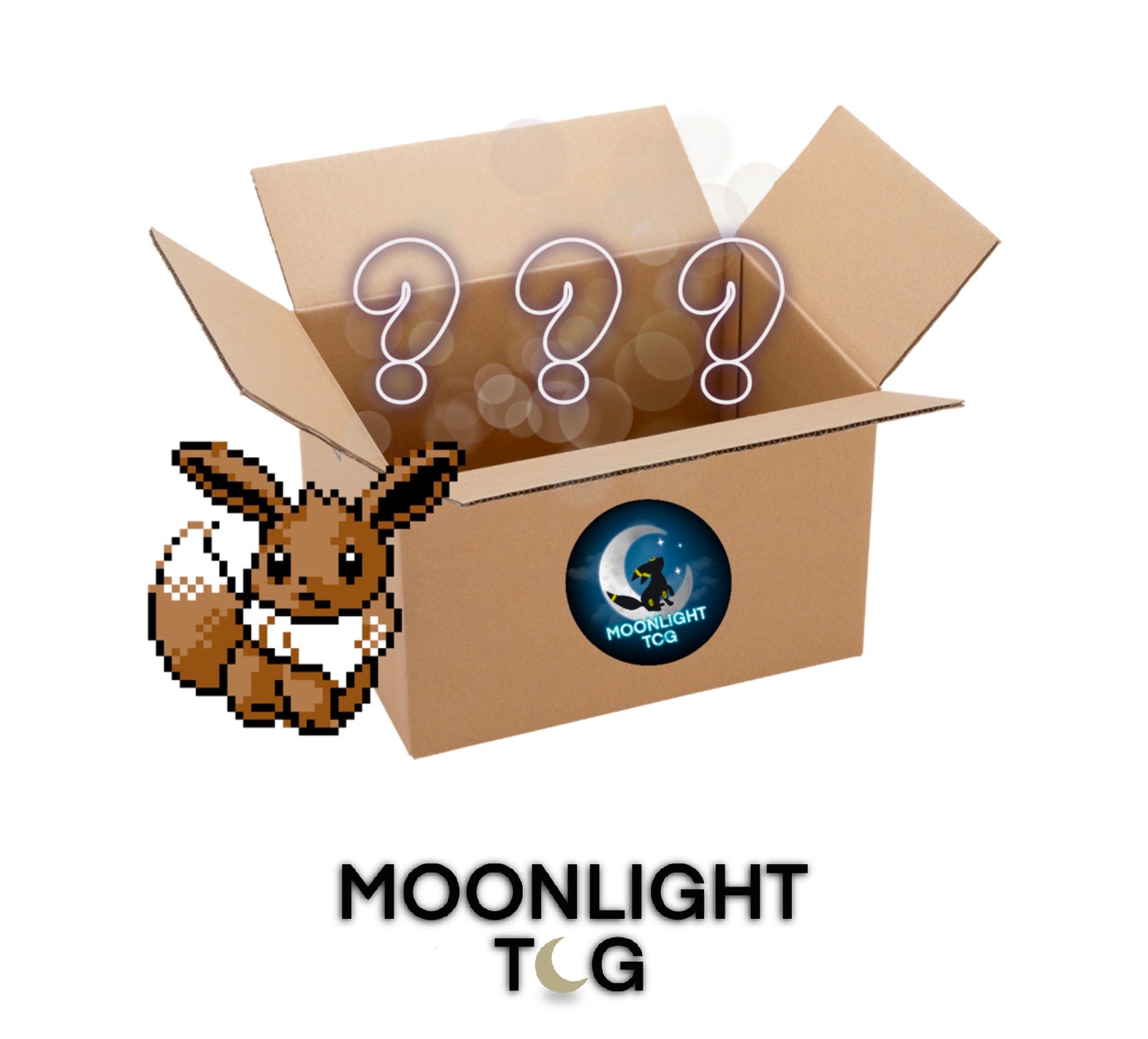 Eevelution Themed Mystery Box